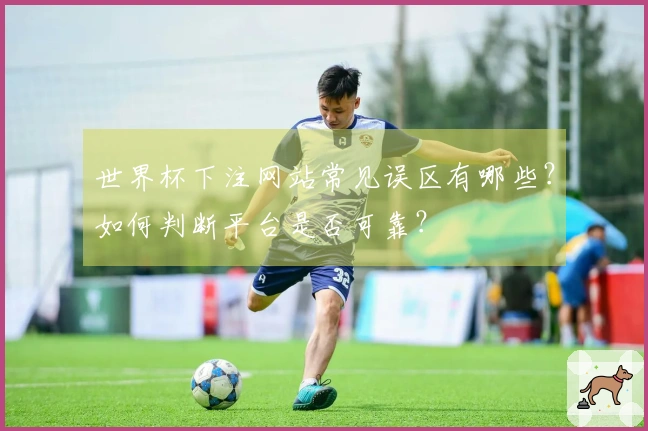 世界杯下注网站常见误区有哪些？如何判断平台是否可靠？